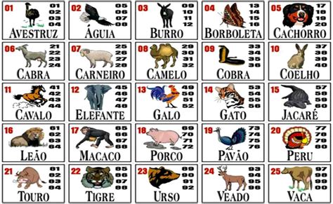 loteria dos sonhos bichos atrasados